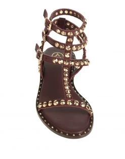 ASH Sandals For Women -ASH popular shop unnamed file 1009