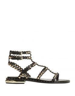 ASH Sandals For Women Black