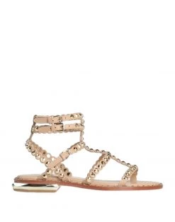 ASH Sandals For Women Black -ASH popular shop unnamed file 1044