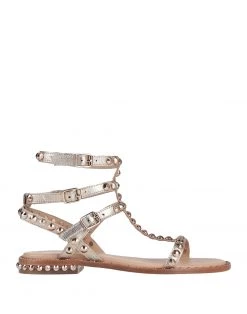 ASH Sandals For Women Platinum