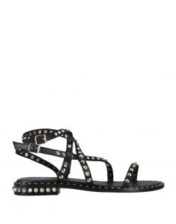 ASH Sandals For Women Black