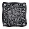 ASH Scarves And Foulards For Women Black -ASH popular shop unnamed file 2033