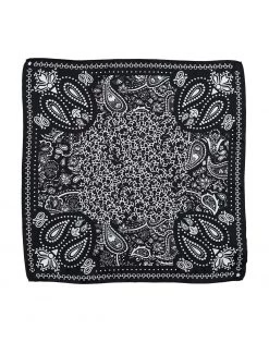 ASH Scarves And Foulards For Women Black